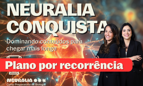 Neuralia Conquista Recorrente