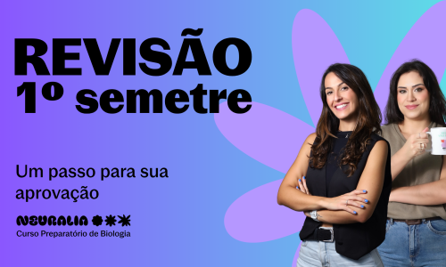 Revisão 1º Semestre